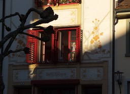 A Puppet In The Window