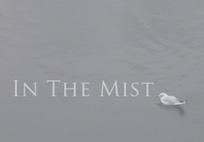In The Mist th