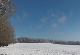 Una passegiata invernale
