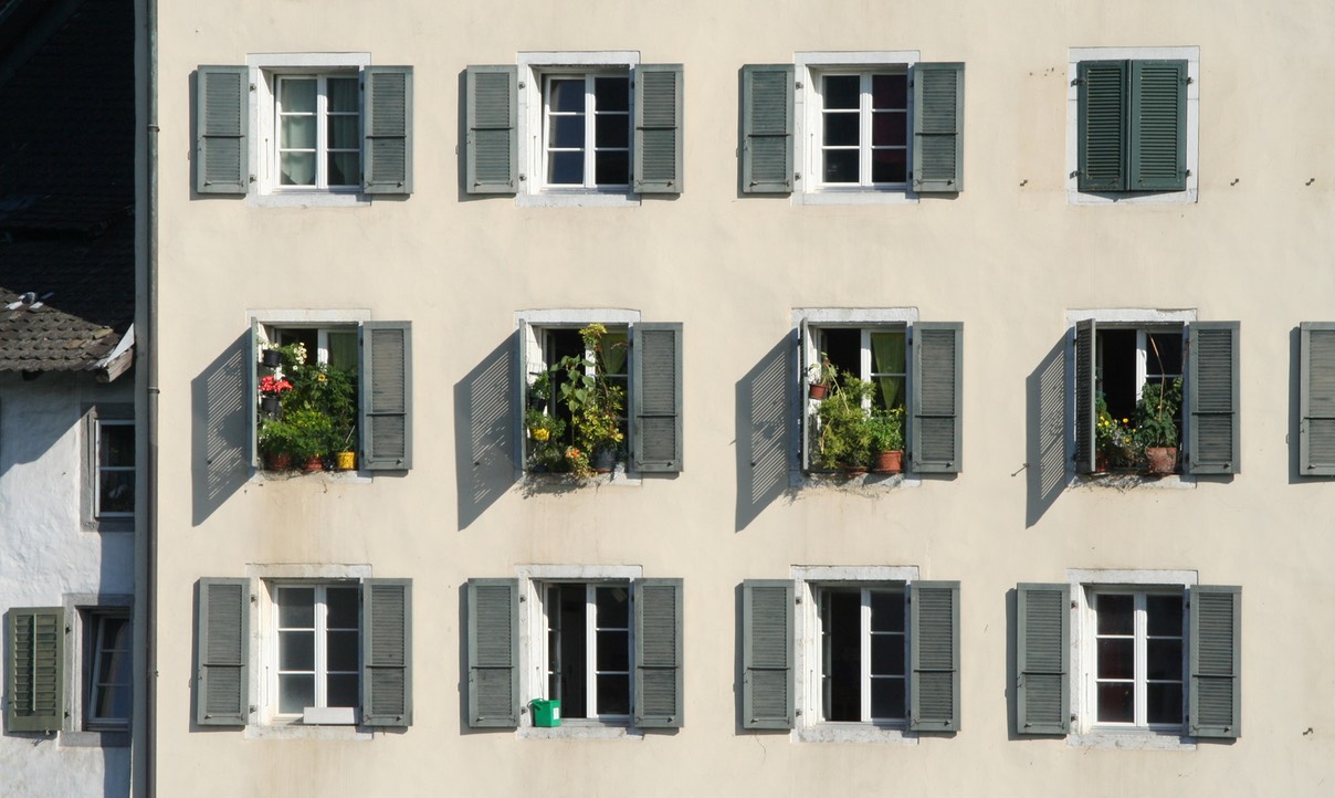 Windows Plants